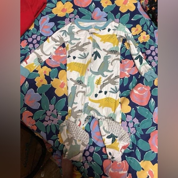 Dino Sleeper - Picture 1 of 1